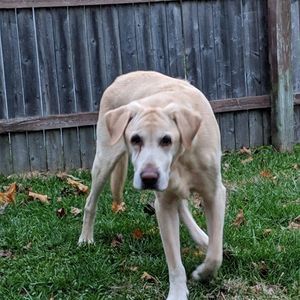 Meet your Posher, Bethany